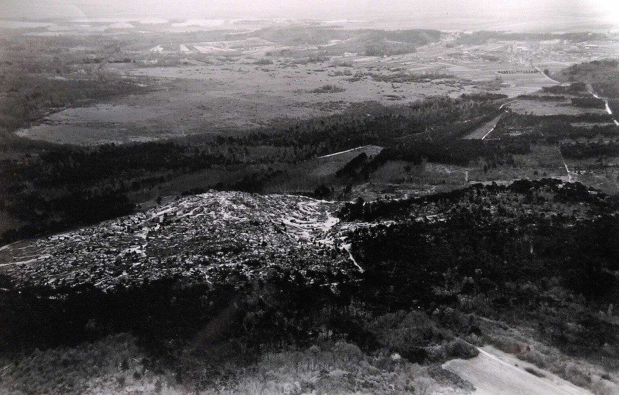 Photos EGO IMAGO | 3 Anciennes Photos A Rienne De Roger Henrard " Rochers Vers Fontainebleau " 1953