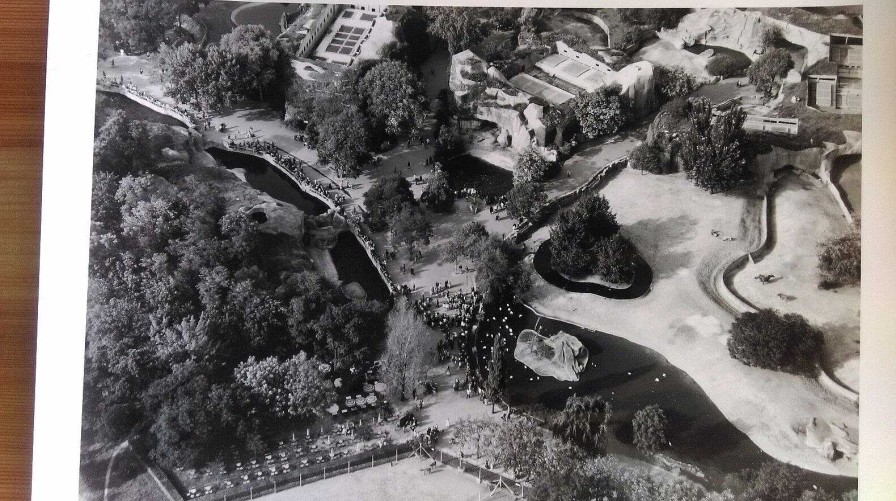 Photos EGO IMAGO | Ancienne Photo A Rienne De Roger Henrard 1955 " Zoo De Vincennes "