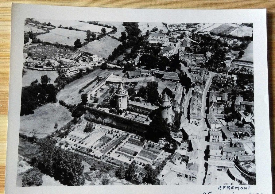 Photos EGO IMAGO | Ancienne Photo A Rienne De Roger Henrard " Apremont " Vend E 1953